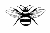 Bee 1